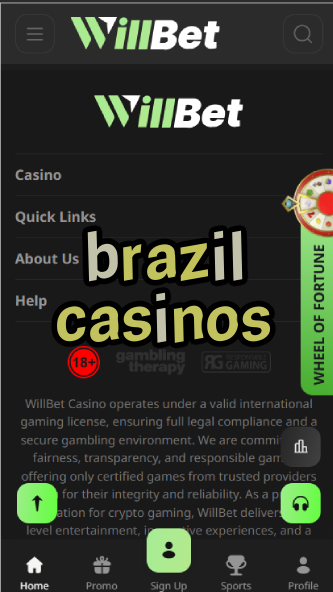 Brazil Casinos - Best Online Gambling Sites for Brazilian Players-casinoorder.vip